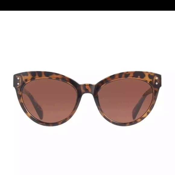 Saint Owen X Curateur Tortoise Shell Glasses New - Picture 3 of 7